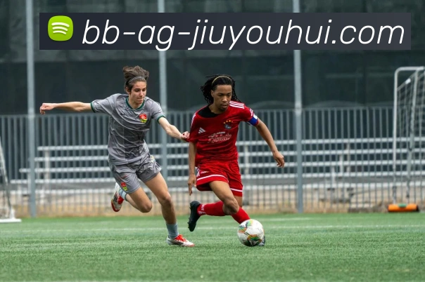 AG九游会官网APP 封面图